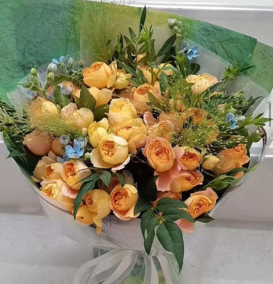 綻放的可能 Helio