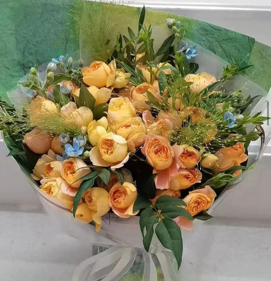 綻放的可能 Helio